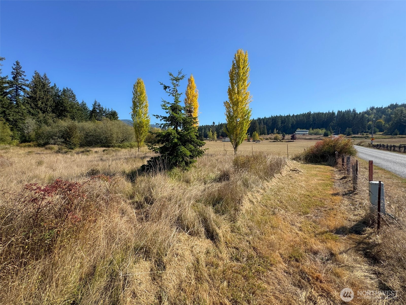 9999 Hooker Road Sequim, WA 98382 - Photo 12 of 40 Gallery Image 12
