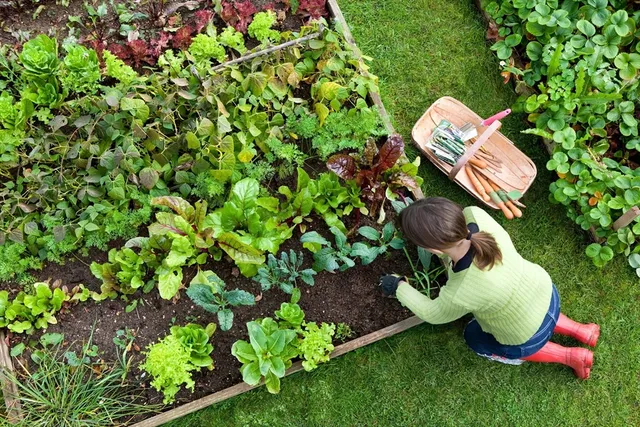 $649,000 | 0 Oxbow Road, Unit 393, Raynham, MA 02767