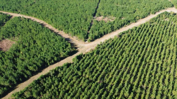 $212,275 | 24 Highway 311, Cross, SC 29436