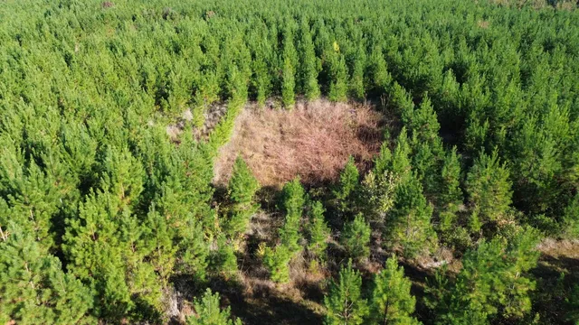 $249,000 | 24 Highway 311, Cross, SC 29436