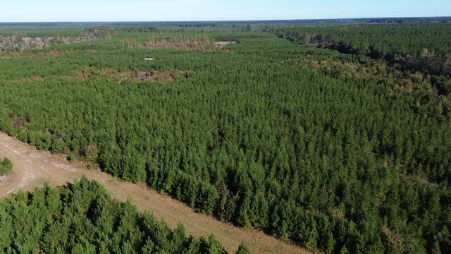 $249,000 | 24 Highway 311, Cross, SC 29436