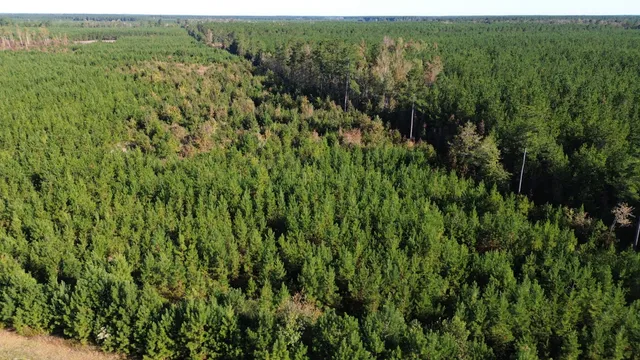 $249,000 | 24 Highway 311, Cross, SC 29436