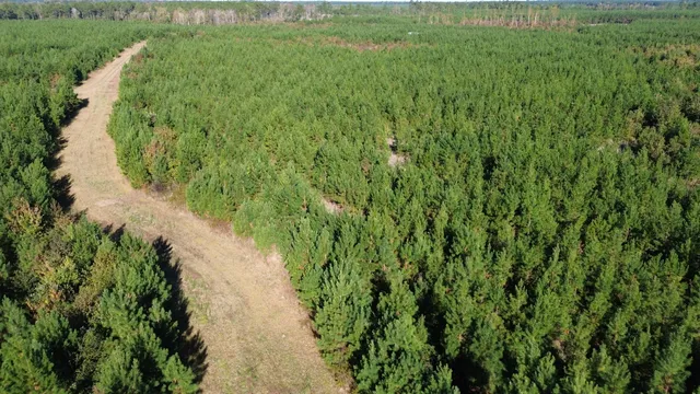 $249,000 | 24 Highway 311, Cross, SC 29436