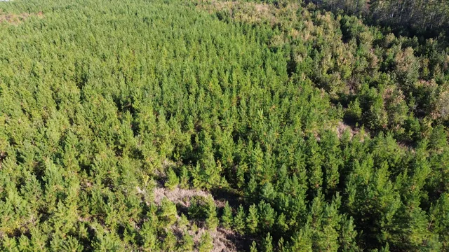 $249,000 | 24 Highway 311, Cross, SC 29436