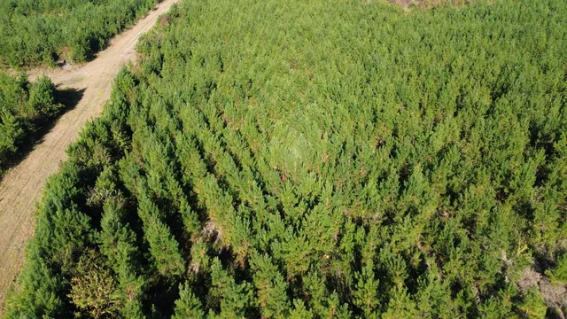 $249,000 | 24 Highway 311, Cross, SC 29436