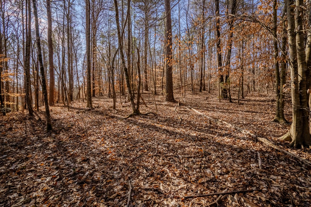 Lot 42 Quarles Road Rocky Face, GA 30740 - Photo 20 of 27 Gallery Image 20