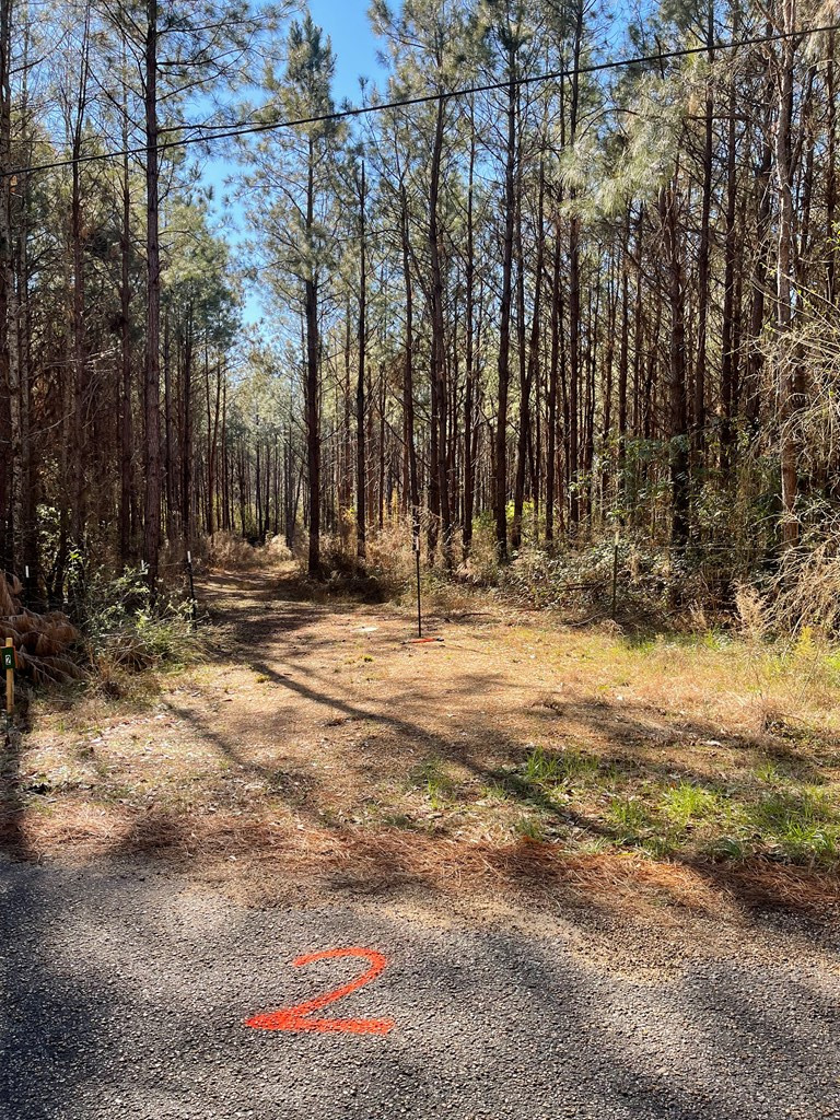 Lot 2 Cr Connerly Road Kokomo, MS 39643 - Photo 3 of 8 Photo 3
