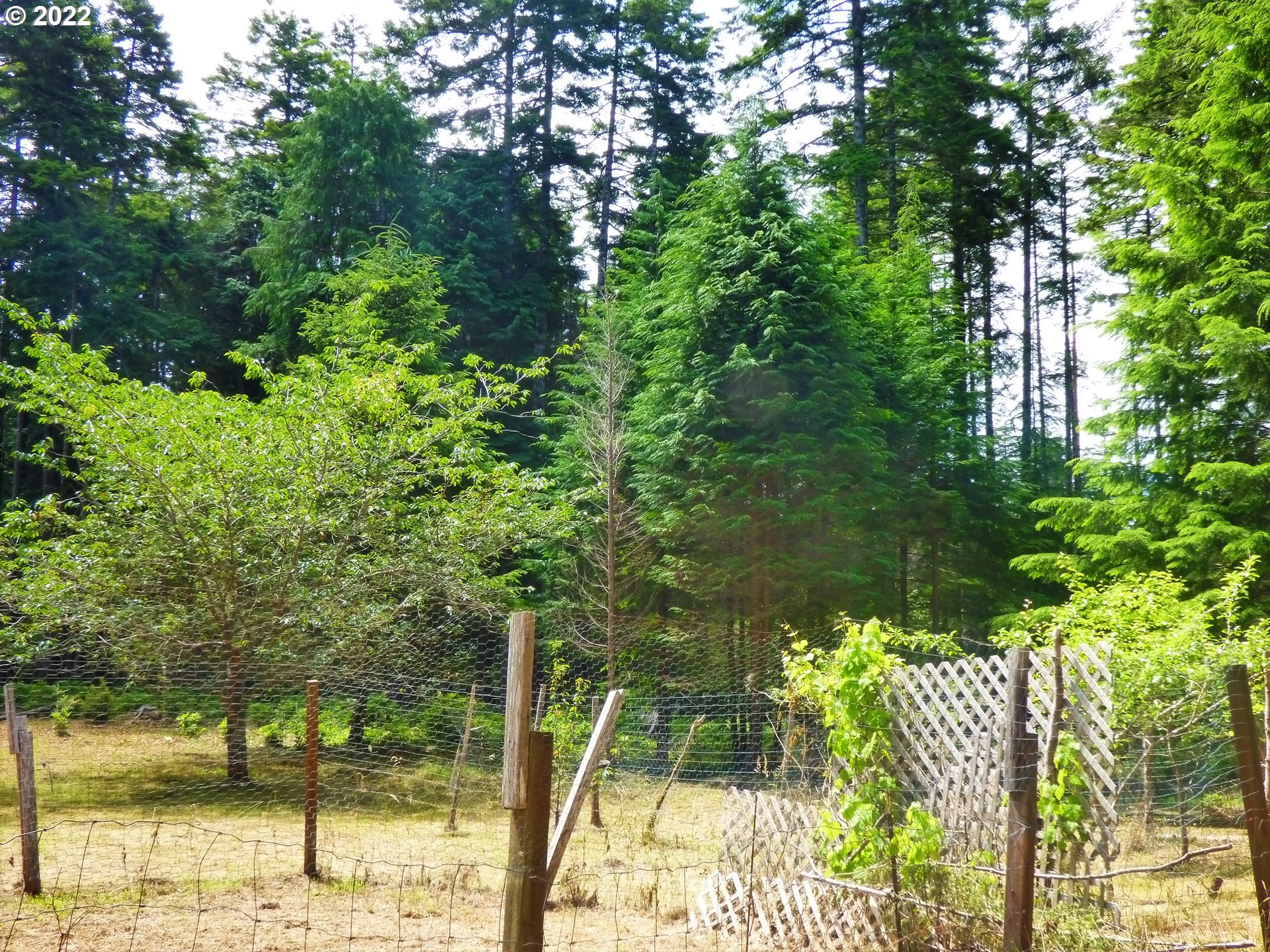 58816 Jackie Road Bandon, OR 97411 - Photo 29 of 31 Gallery Image 29