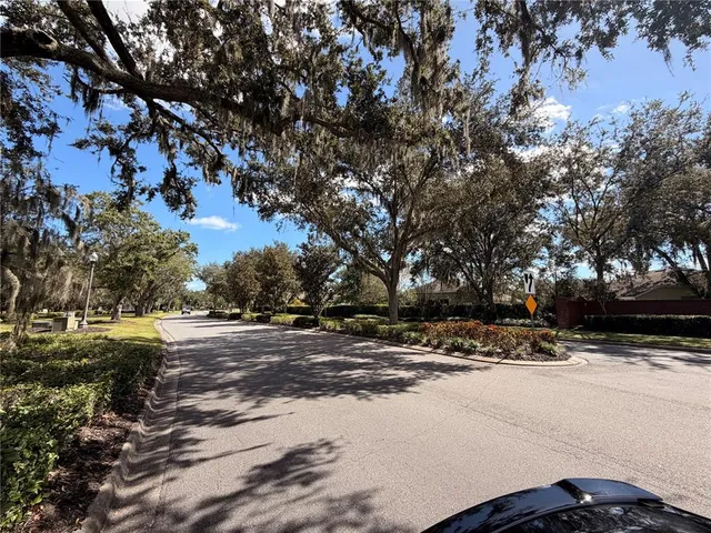 a view of a yard with trees
