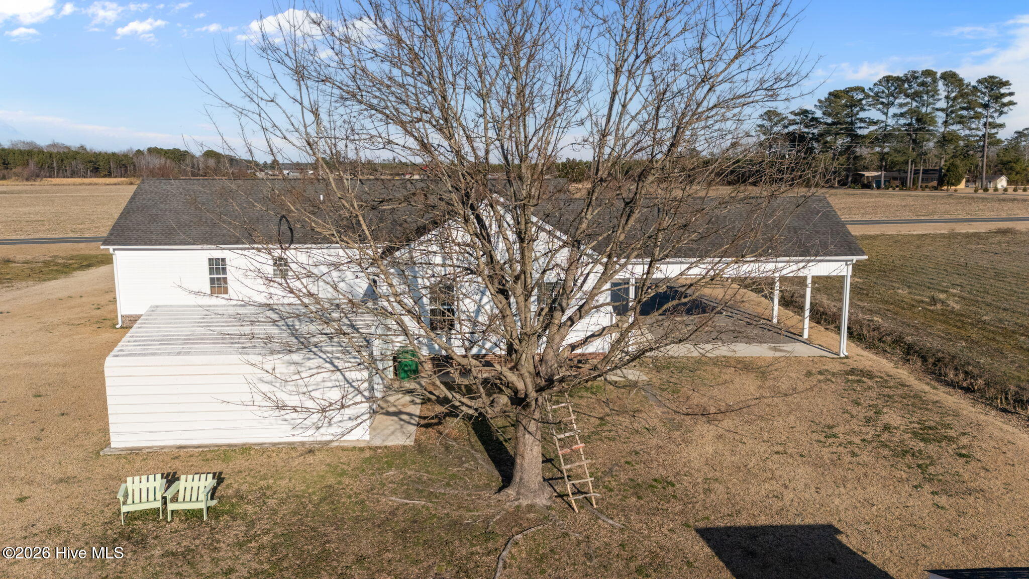 1635 Horse Pen Swamp Road Washington, NC 27889 - Photo 4 of 43 Backyard