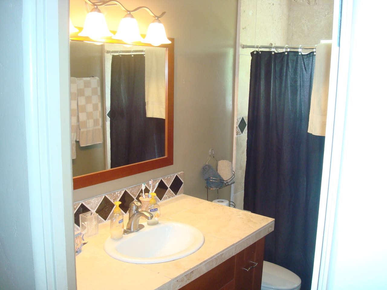 737 West Ocotillo Road Phoenix, AZ 85013 - Photo 18 of 21 Guest Bathroom