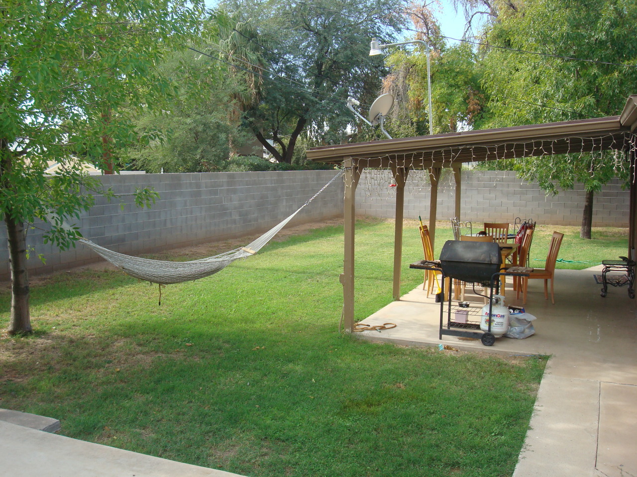 737 West Ocotillo Road Phoenix, AZ 85013 - Photo 4 of 21 Backyard