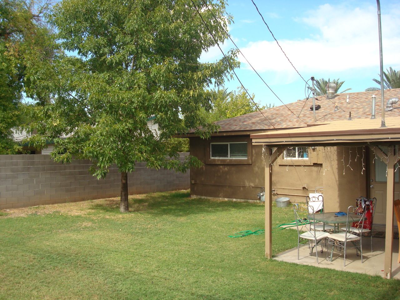 737 West Ocotillo Road Phoenix, AZ 85013 - Photo 6 of 21 Backyard