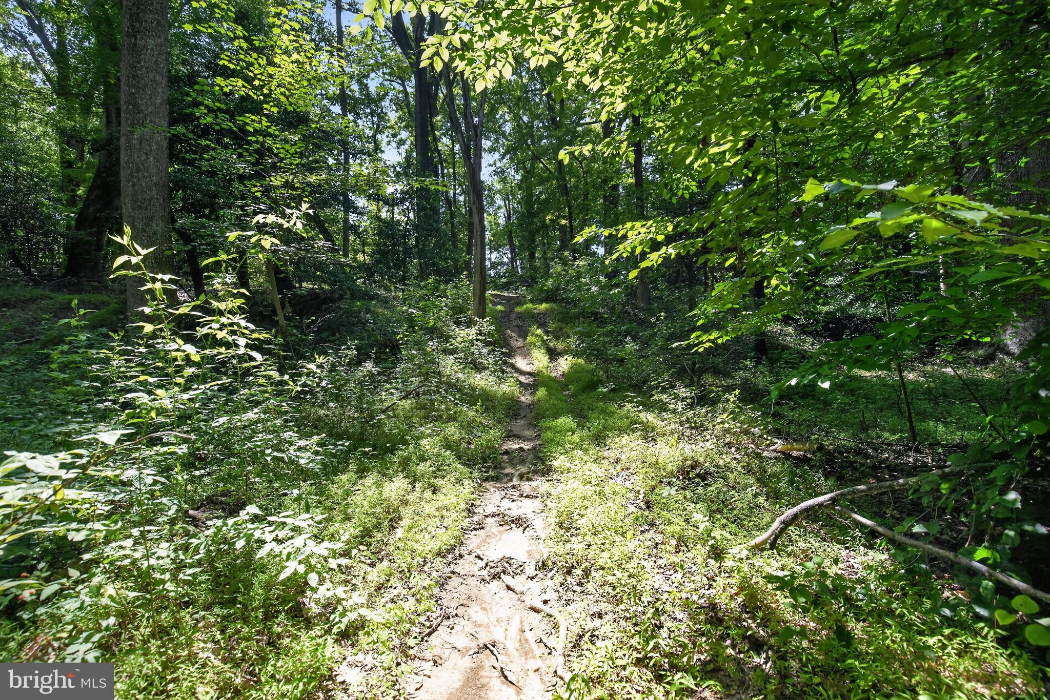 11450 Edge Hill Road Newburg, MD 20664 - Photo 55 of 65 trails