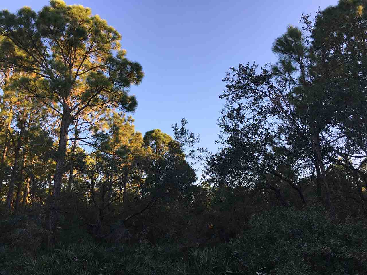Yates Creek Road Perry, FL 32348 - Photo 1 of 11 Gallery Image 1