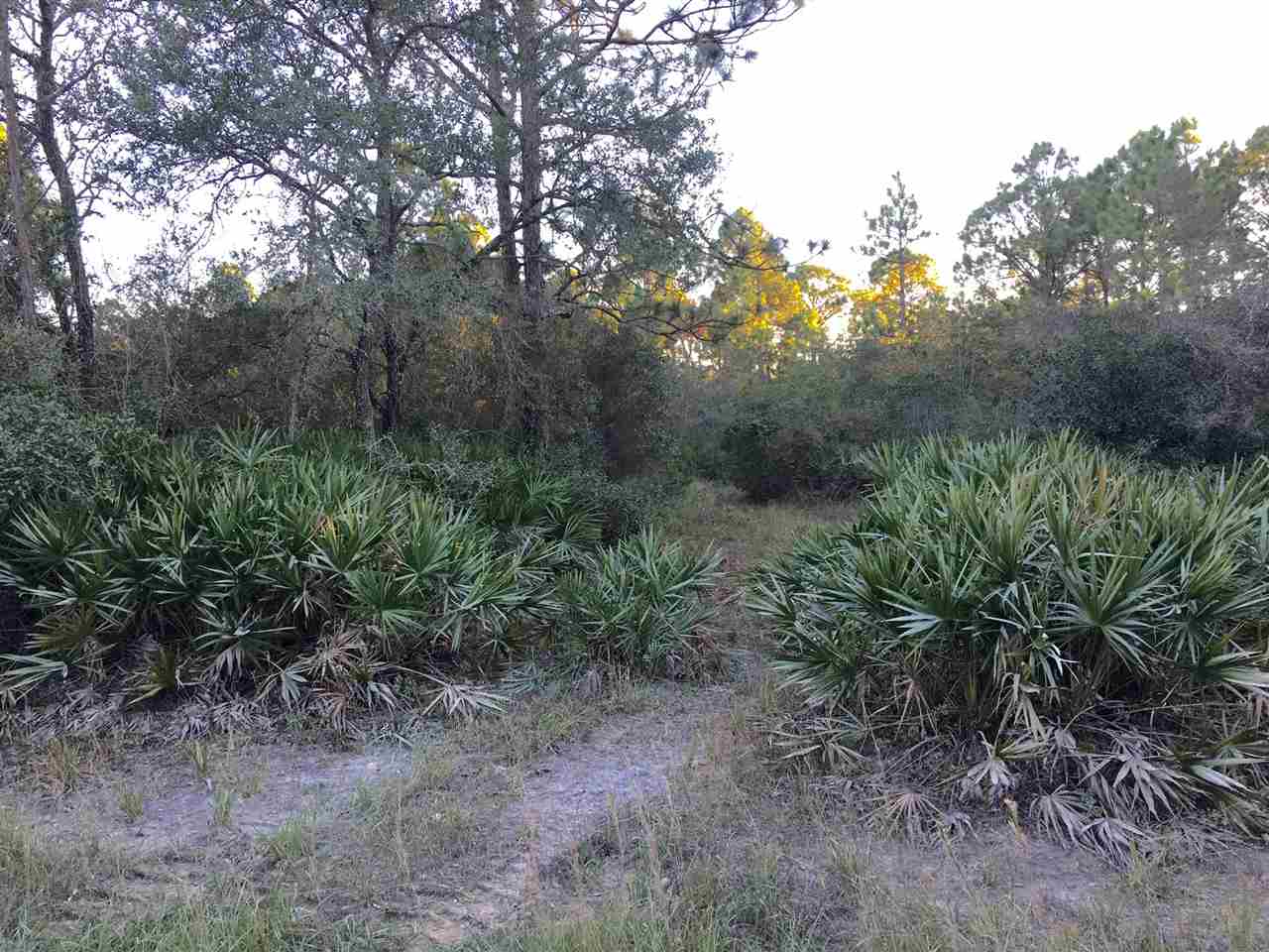 Yates Creek Road Perry, FL 32348 - Photo 11 of 11 Gallery Image 11