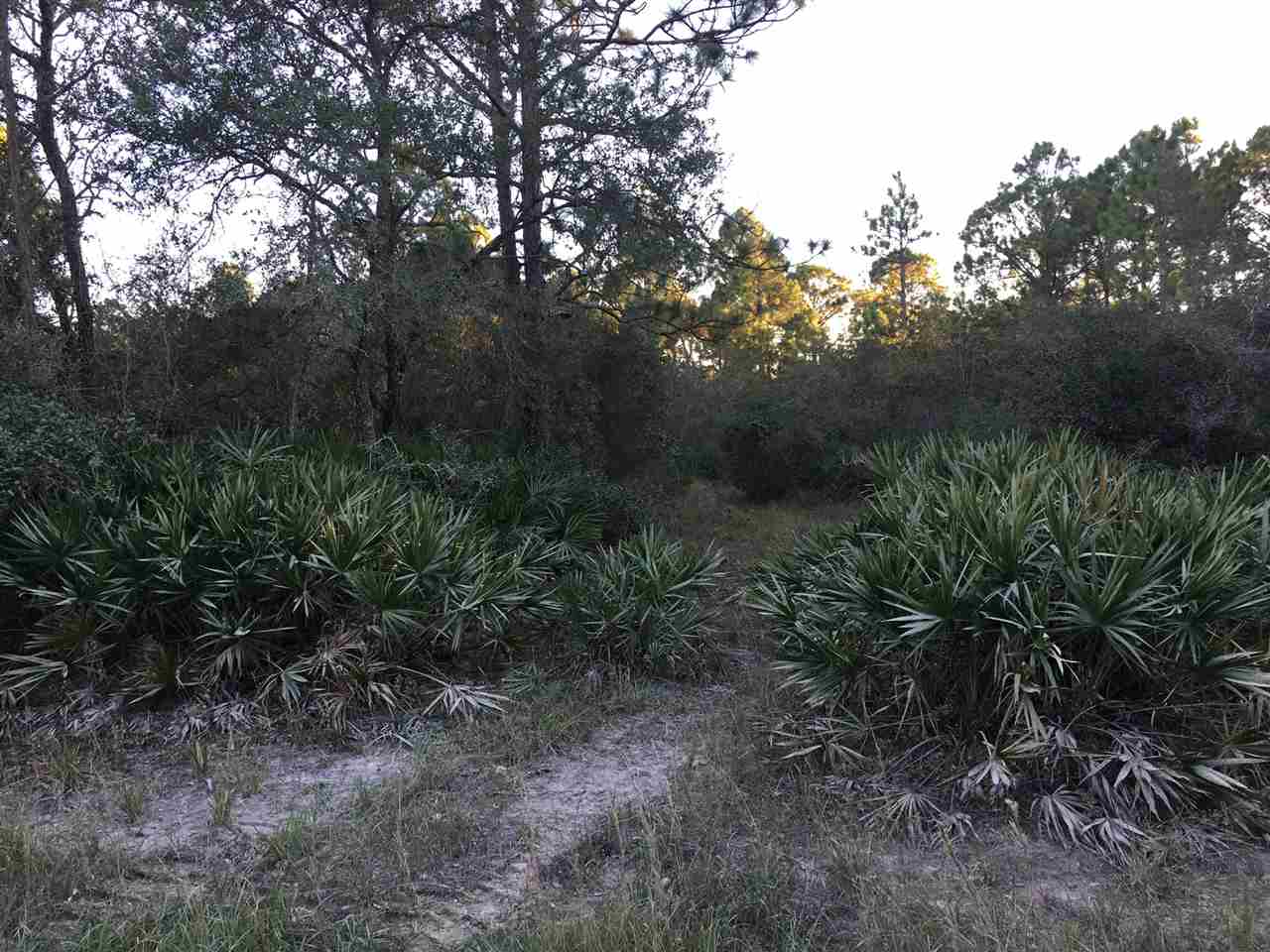 Yates Creek Road Perry, FL 32348 - Photo 2 of 11 Gallery Image 2