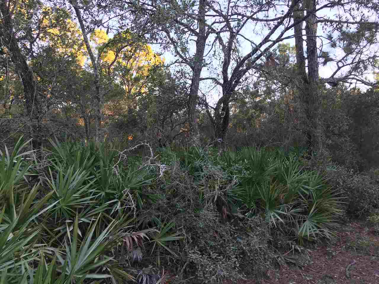 Yates Creek Road Perry, FL 32348 - Photo 4 of 11 Gallery Image 4