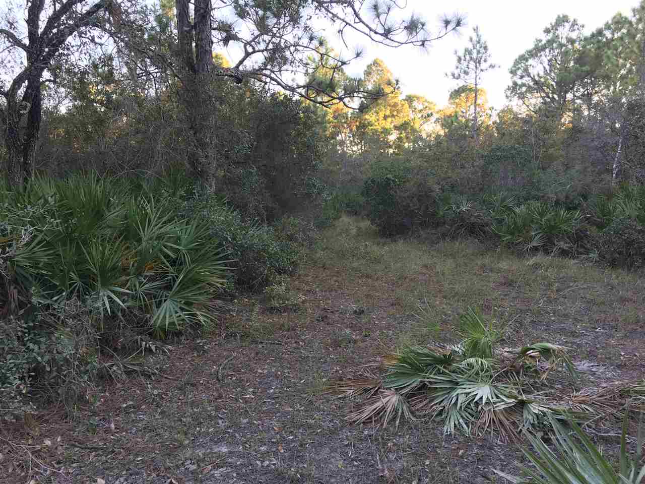 Yates Creek Road Perry, FL 32348 - Photo 6 of 11 Gallery Image 6