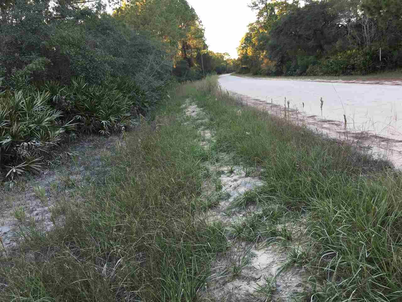 Yates Creek Road Perry, FL 32348 - Photo 7 of 11 Gallery Image 7