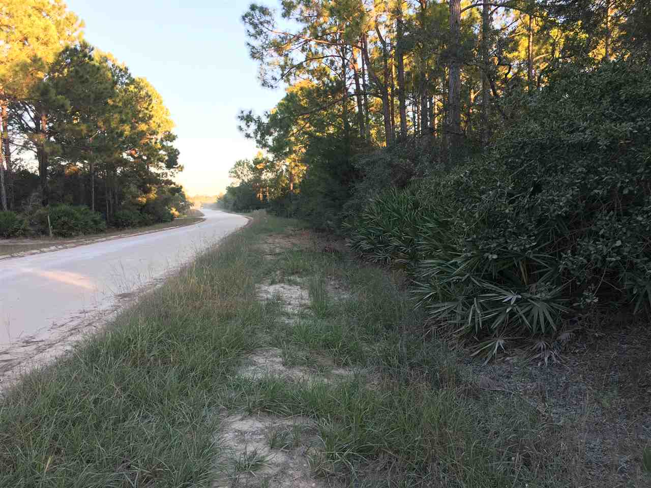 Yates Creek Road Perry, FL 32348 - Photo 8 of 11 Gallery Image 8