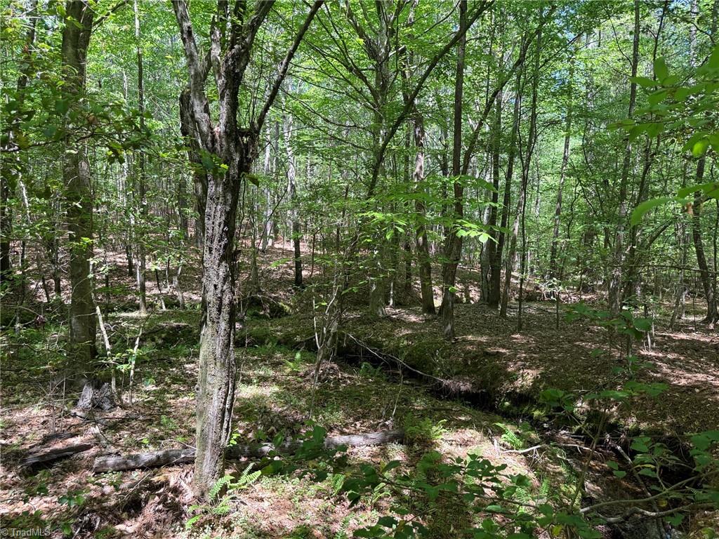 Lot 5 Woods Road Seagrove, NC 27341 - Photo 3 of 9