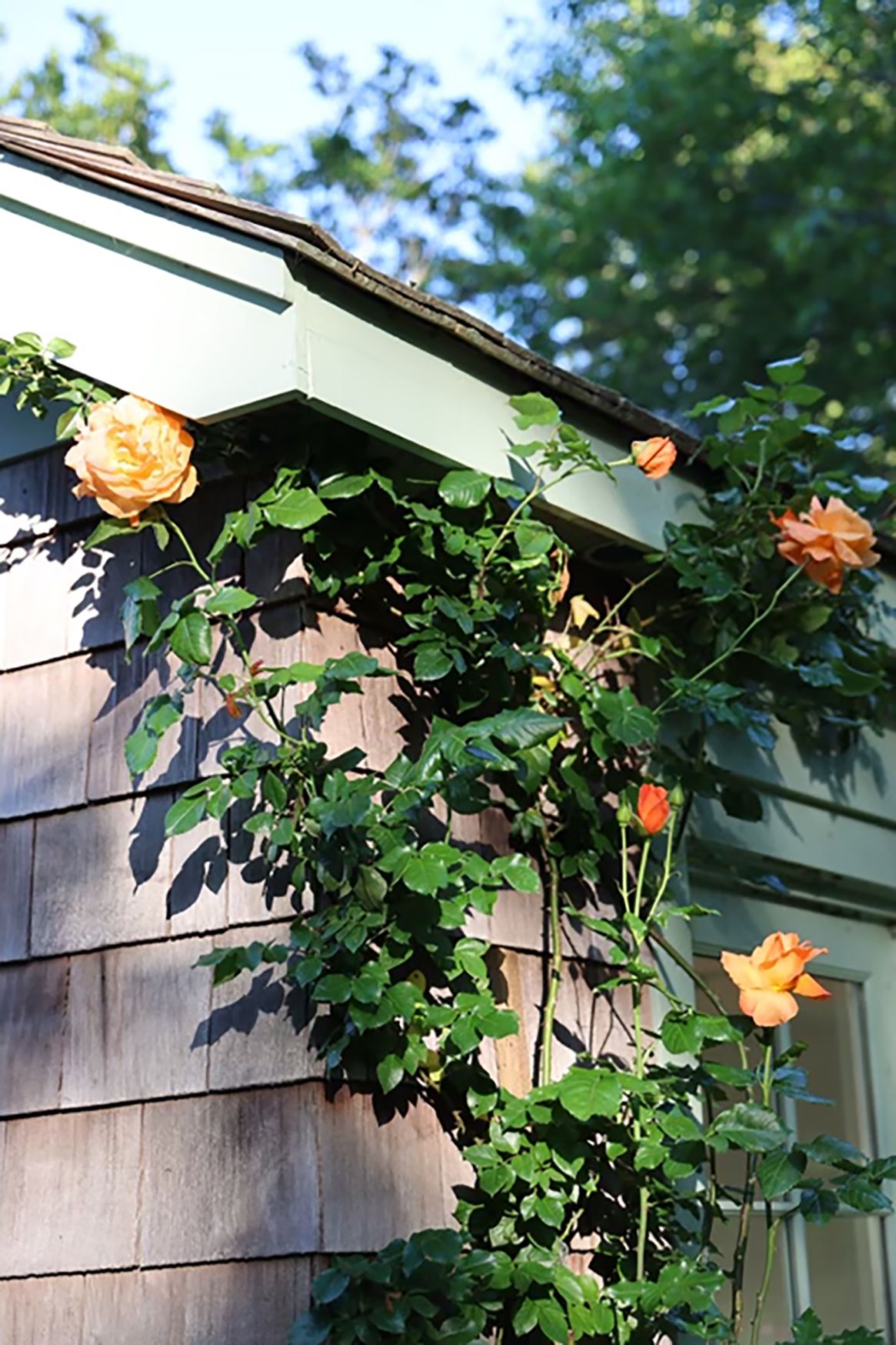 34 High Street Sag Harbor, NY 11963 - Photo 36 of 47