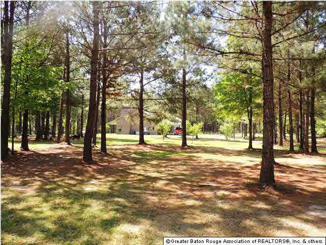 5814 Rattlesnake Road Clinton, LA 70722 - Photo 19 of 25 Gallery Image 19