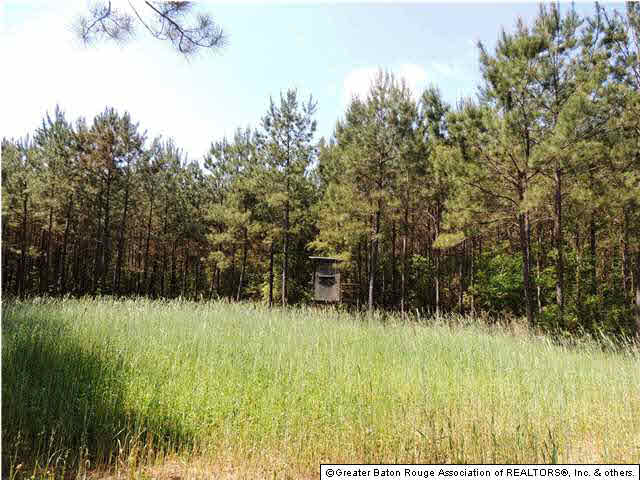 5814 Rattlesnake Road Clinton, LA 70722 - Photo 23 of 25 Gallery Image 23