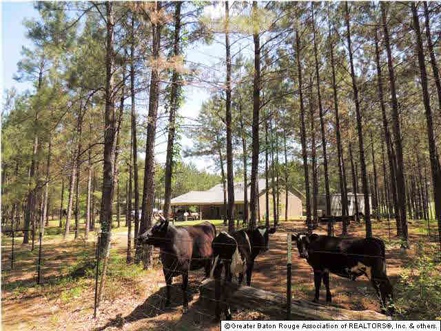 5814 Rattlesnake Road Clinton, LA 70722 - Photo 24 of 25 Gallery Image 24