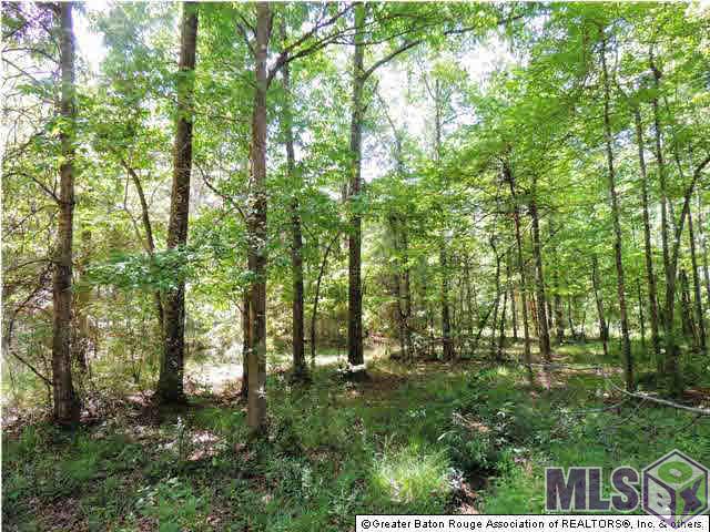 5814 Rattlesnake Road Clinton, LA 70722 - Photo 3 of 25 Gallery Image 3
