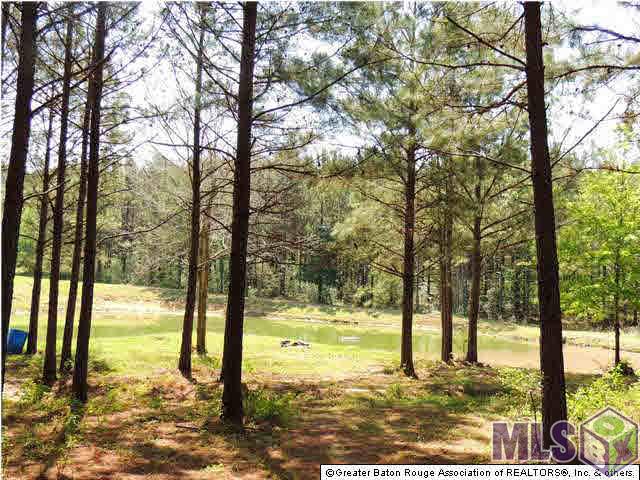 5814 Rattlesnake Road Clinton, LA 70722 - Photo 6 of 25 Gallery Image 6