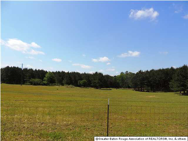 5814 Rattlesnake Road Clinton, LA 70722 - Photo 7 of 25 Gallery Image 7