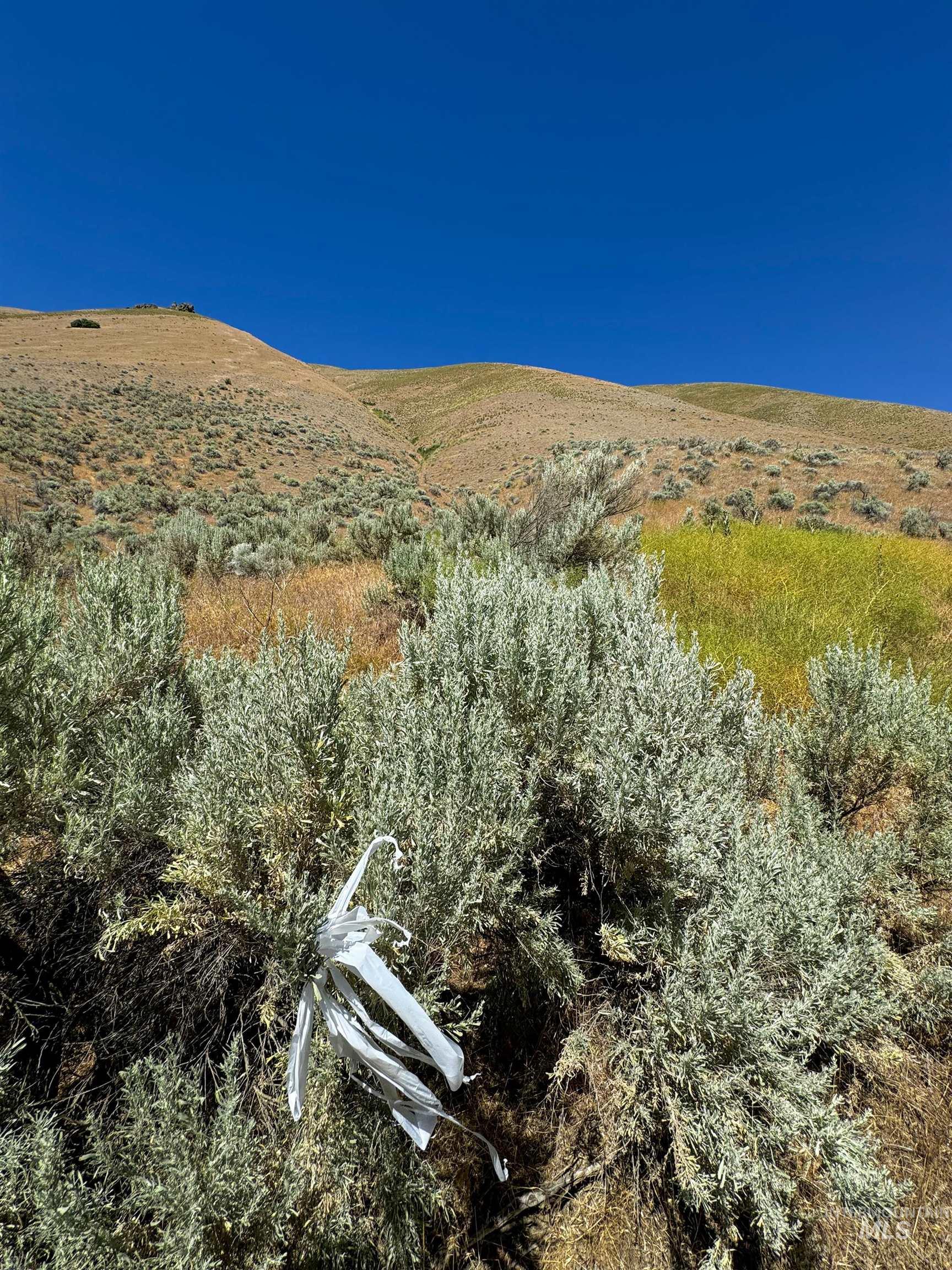 Lot 2-parcel Dennett Creek Road Weiser, ID 83672 - Photo 5 of 10 Gallery Image 5