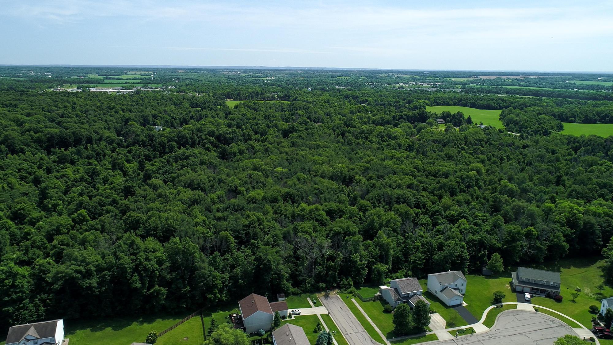 1042 Citation Road Southwest Pataskala, OH 43062 - Photo 5 of 5