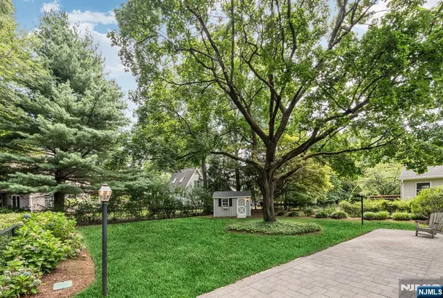a view of a yard with plants and large trees