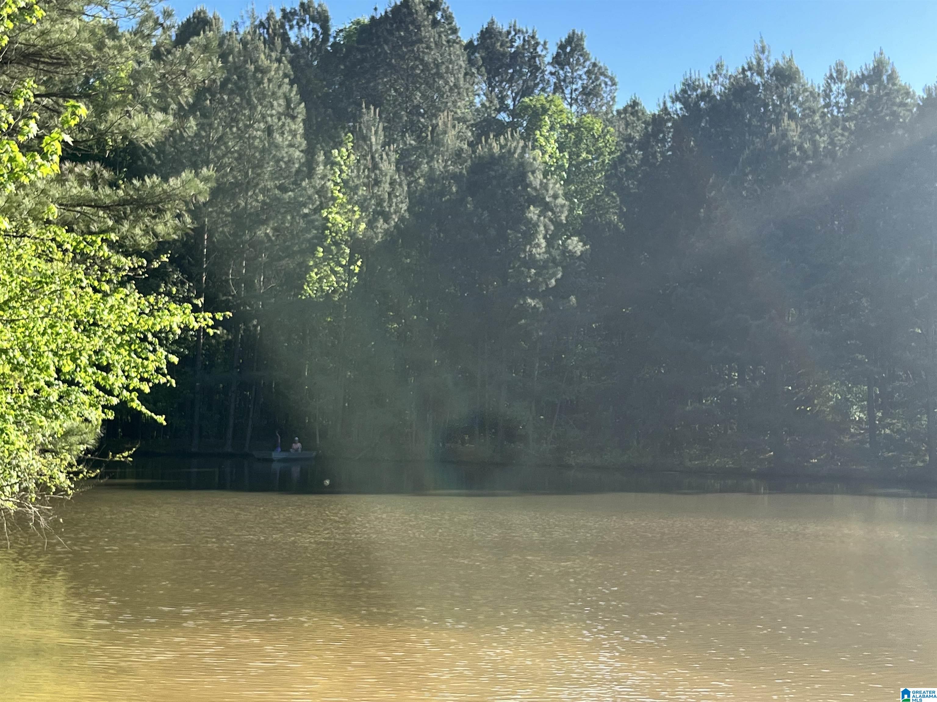 2020 Church Road, Unit 2020 Pell City, AL 35128 - Photo 16 of 16