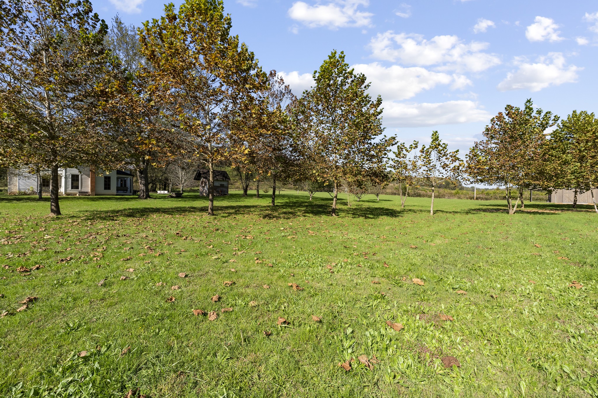 130 Hardy Road Pulaski, TN 38478 - Photo 64 of 70 Gallery Image 64