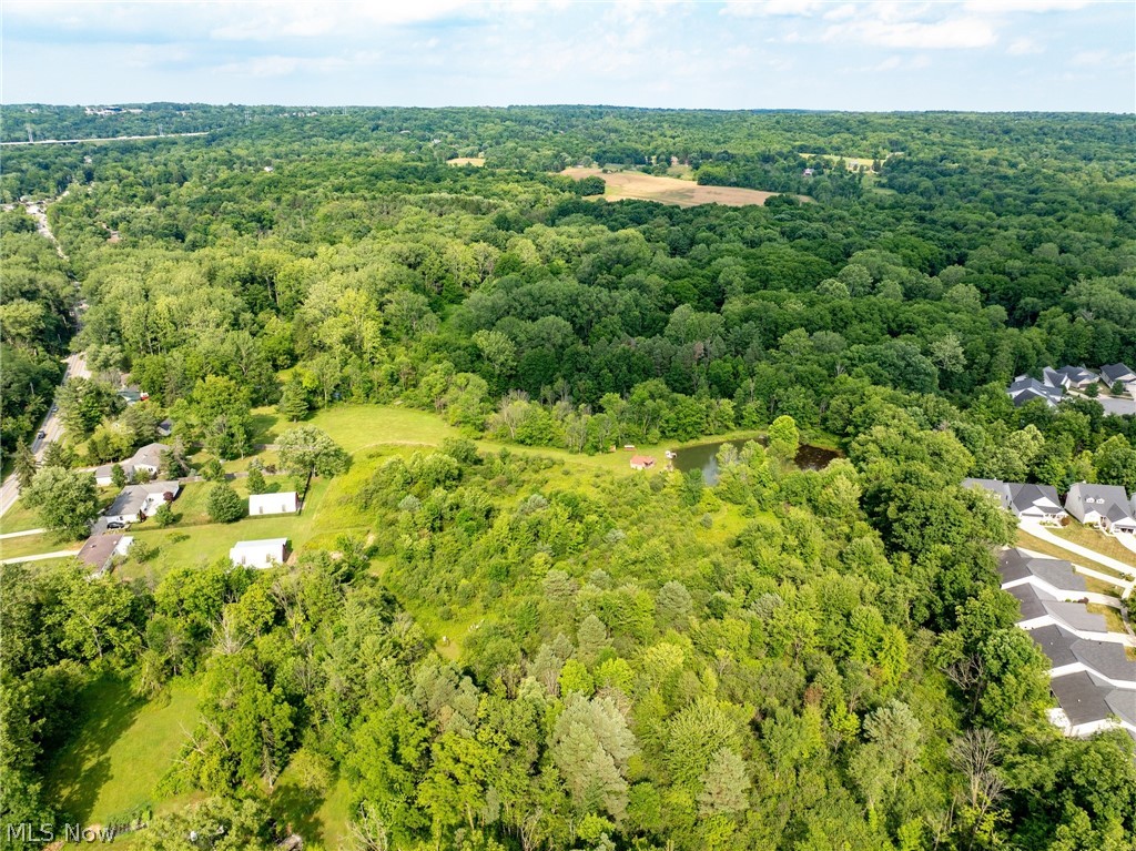 Bennett Road North Royalton, OH 44133 - Photo 21 of 26 Expansive wooded acreage featuring a pond, open clearings, and existing structure