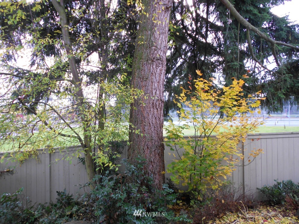 4029 Northeast 9th Place Renton, WA 98056 - Photo 14 of 15