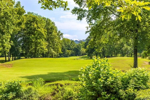 $466,500 | 59 Briarwood Drive, Ringgold, GA 30736