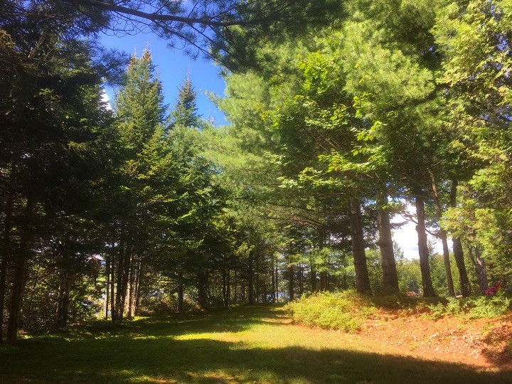 1098 Goodnow Flow Road Newcomb, NY 12852 - Photo 24 of 25 Gallery Image 24