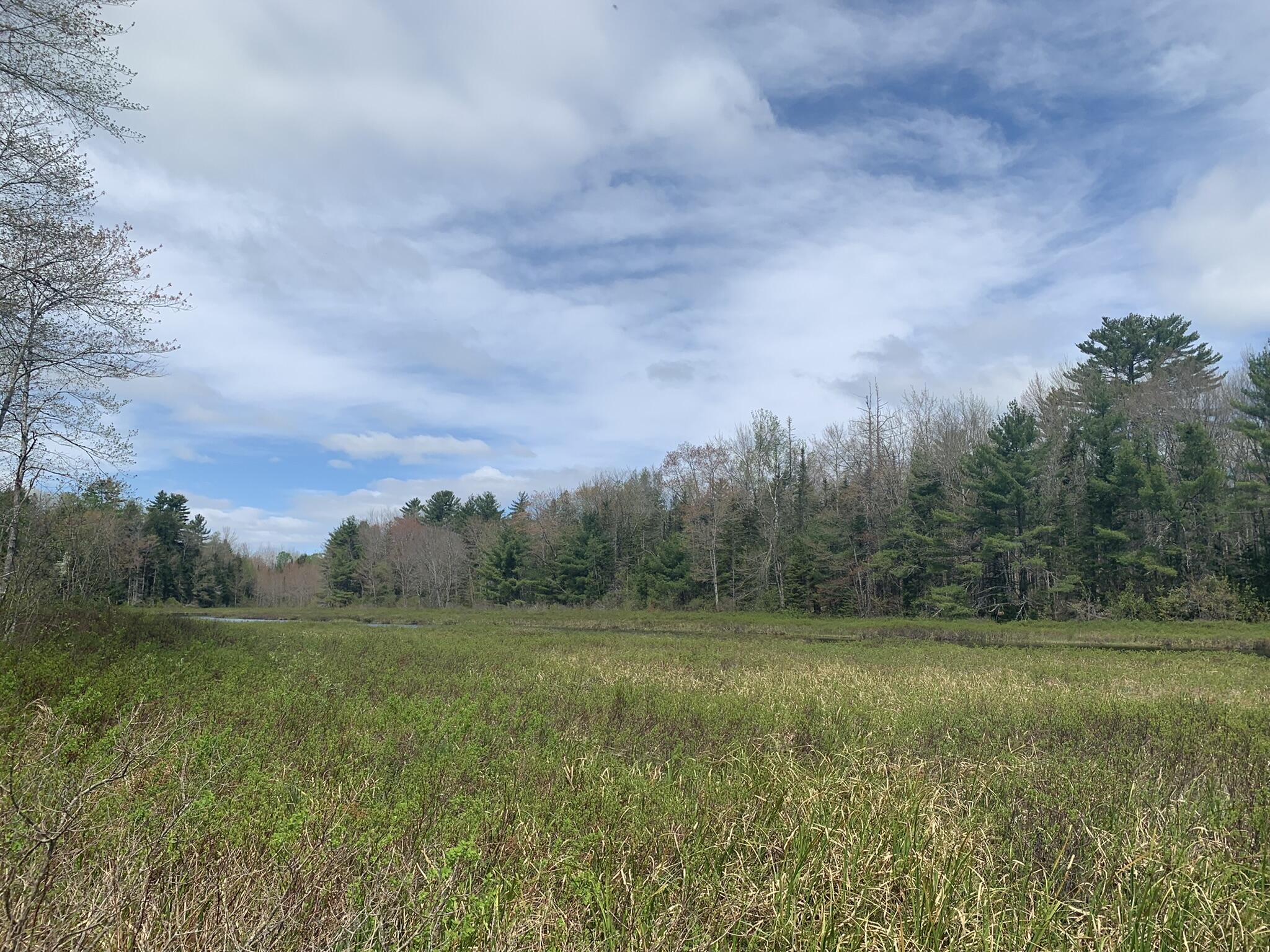 10 Town Farm Road Aurora, ME 04408 - Photo 39 of 41 IMG_7097