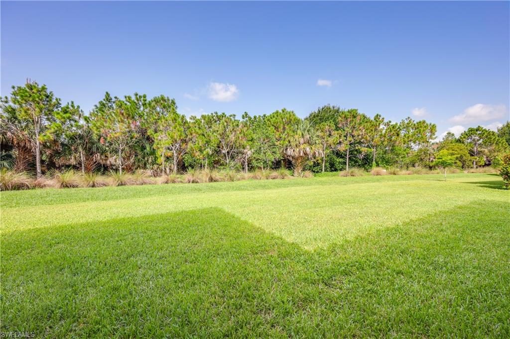 5375 Ferrari Avenue Ave Maria, FL 34142 - Photo 44 of 45