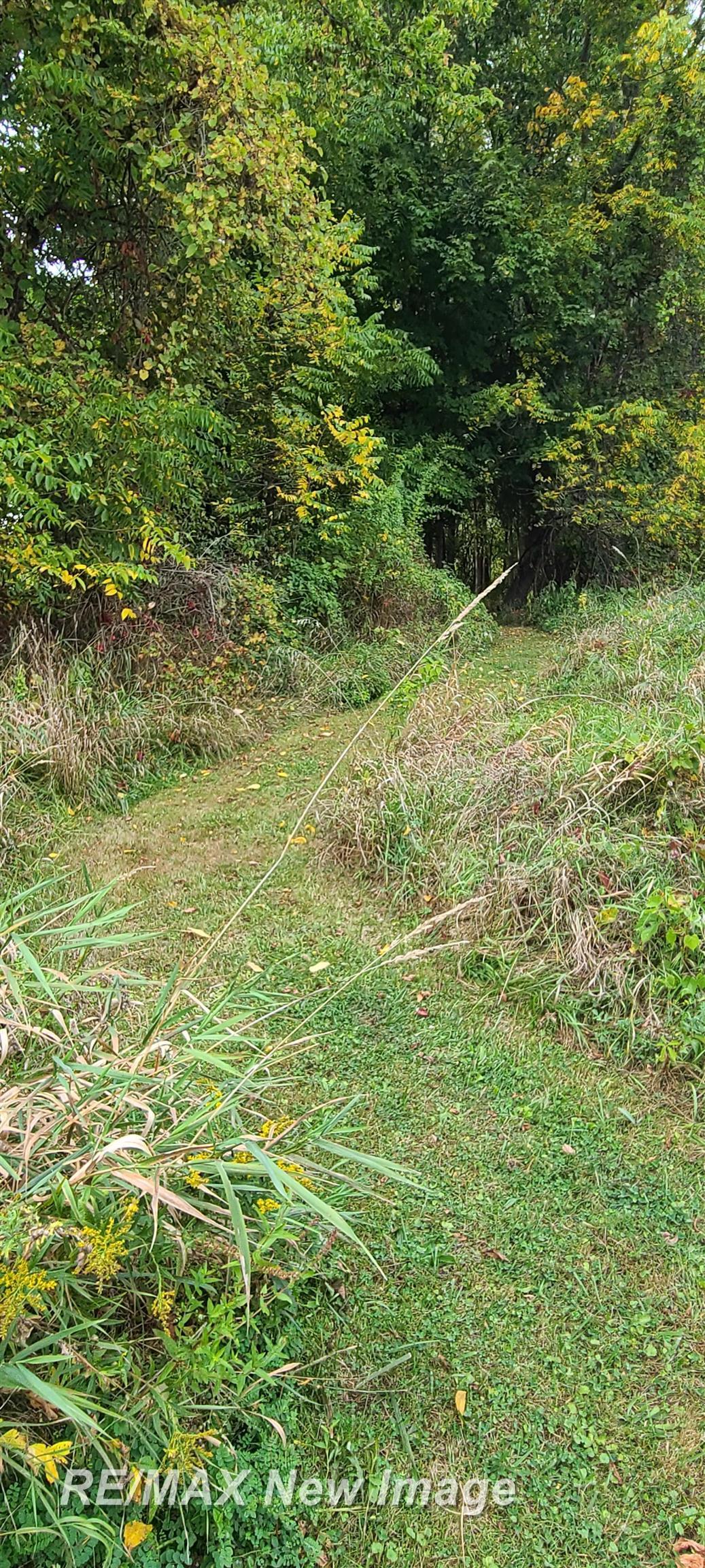 910 West Brady Road Chesaning, MI 48616 - Photo 29 of 31 50189322-adf1fff8-e7e1-46cf-b545-12d187ea05ba.JPG
