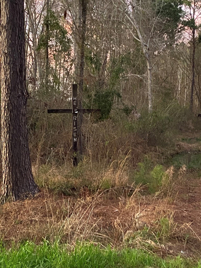 1035 Williams Road Barney, GA 31625 - Photo 9 of 21 Gallery Image 9