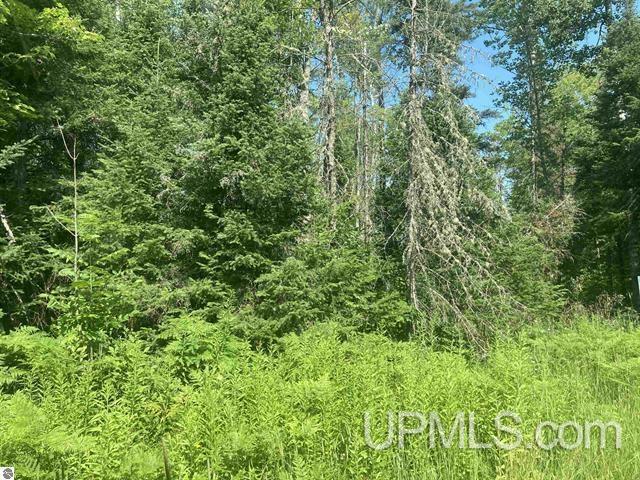 Tbd Tbd County Line Road Pelkie, MI 49958 - Photo 2 of 5