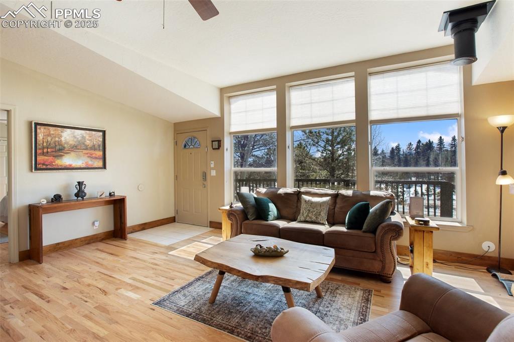 63 Bear Claw Trail Divide, CO 80814 - Photo 14 of 28 a living room with furniture and a window