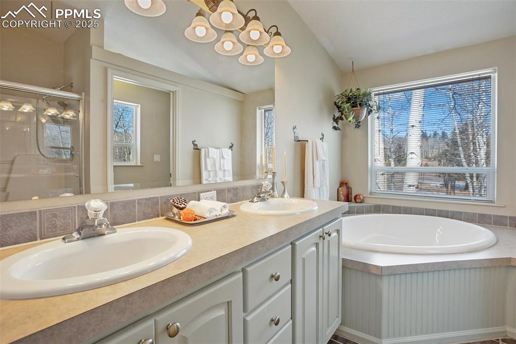 63 Bear Claw Trail Divide, CO 80814 - Photo 17 of 28 a bathroom with a granite countertop sink and a large mirror