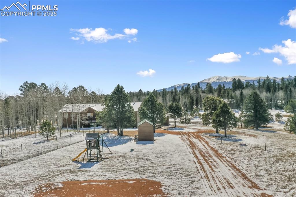 63 Bear Claw Trail Divide, CO 80814 - Photo 5 of 28 a view of a park with iron fence